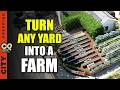 How a 1/10 Acre Microfarm Feeds 32 Families All Year Long