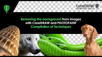 How to remove background in CorelDRAW 2022 - compilation of techniques