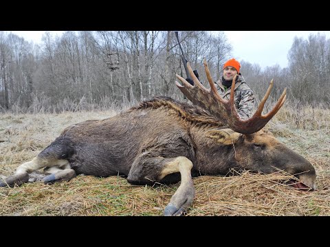 Video: Kādiem Dieviem Viņi Ticēja Urālos - Alternatīvs Skats