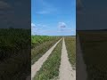Amazing landscape of the field with two seasons side. Travel video