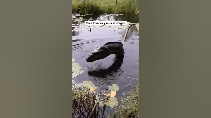 MONSTRO DO LAGO NESS FINALMENTE ENCONTRADO EM 2022