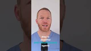 Flavonoids Revolutionary Study For Healthy Aging Explained