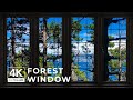 4k forest window view  relaxing calming ambience