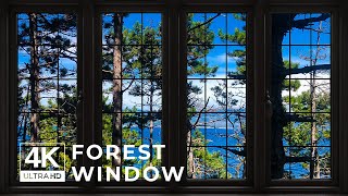 4K Forest window view - Relaxing, Calming, Ambience