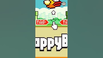 Chân dung Nguyễn Hà Đông |  Cha đẻ tựa game Flappy Bird, hiện tượng từng gây sốt toàn cầu 10 năm trư