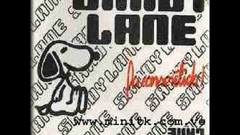 MINITECA SANDY LANE RECUERDOS 1978~1984.