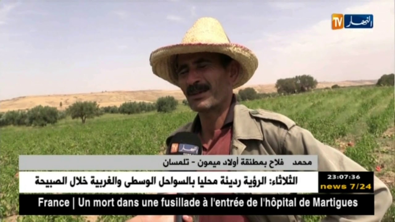 تلمسان: نفوق عدد كبير من الأسماك بسد أولاد ميمون