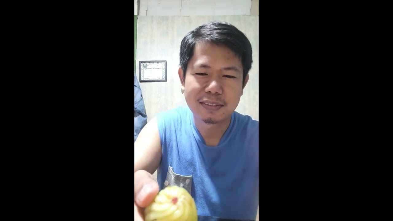 Katmon tree from sierra madre mountain