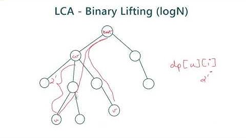 Lowest Common Ancestor  - O(logN) | Binary Lifting