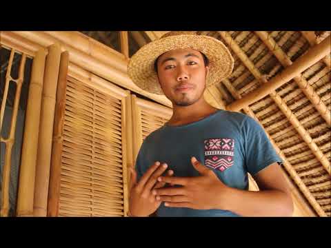 Vidéo: Bambou Décoratif Sur Un Terrain Personnel