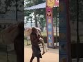 Man Carries Sister's Skeleton to Bank #shorts