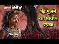 The ancient secret of worshiping trees  rahul kannake  alive breath