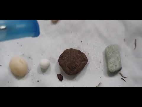 Gambling charm and protection #fyp#ytshort#yotubeshort#viralvideo