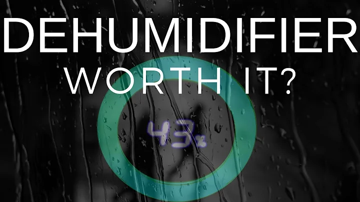 Dehumidifiers: What You Need to Know Before Buying