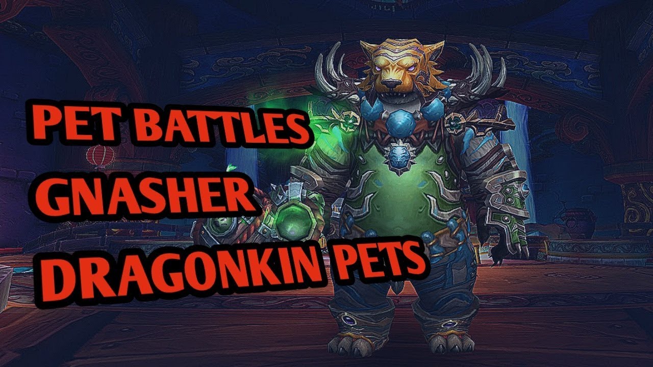 How to defeat Gnasher using Dragonkin pets (2 pet strategy) - world of warcraft