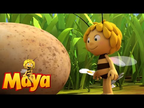 Follow That Egg  - Maya the Bee - Episode 56