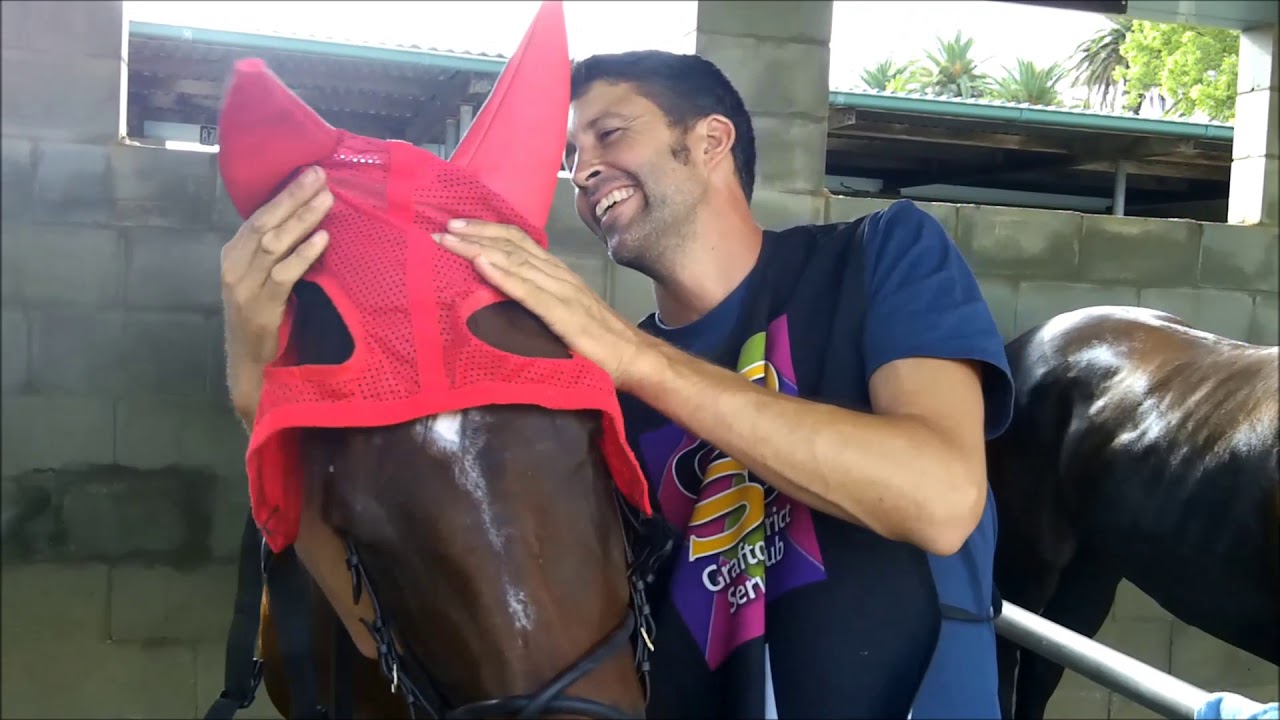 Social Conquest wins at Grafton (2nd April 2019)