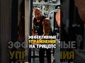 ЭФФЕКТИВНЫЕ УПРАЖНЕНИЯ НА ТРИЦЕПС  #тренер #трицепс