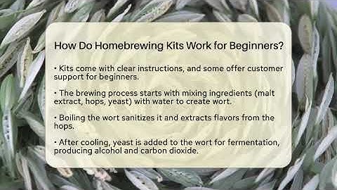 How Do Homebrewing Kits Work for Beginners? | The Pint Guy