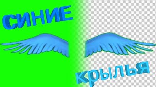 Футаж Синие крылья/на зелёном фоне/хромакей