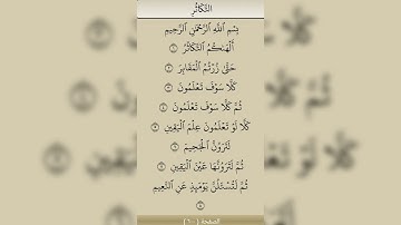 سورة التكاثر. بصوت القارئ محمد الفقية