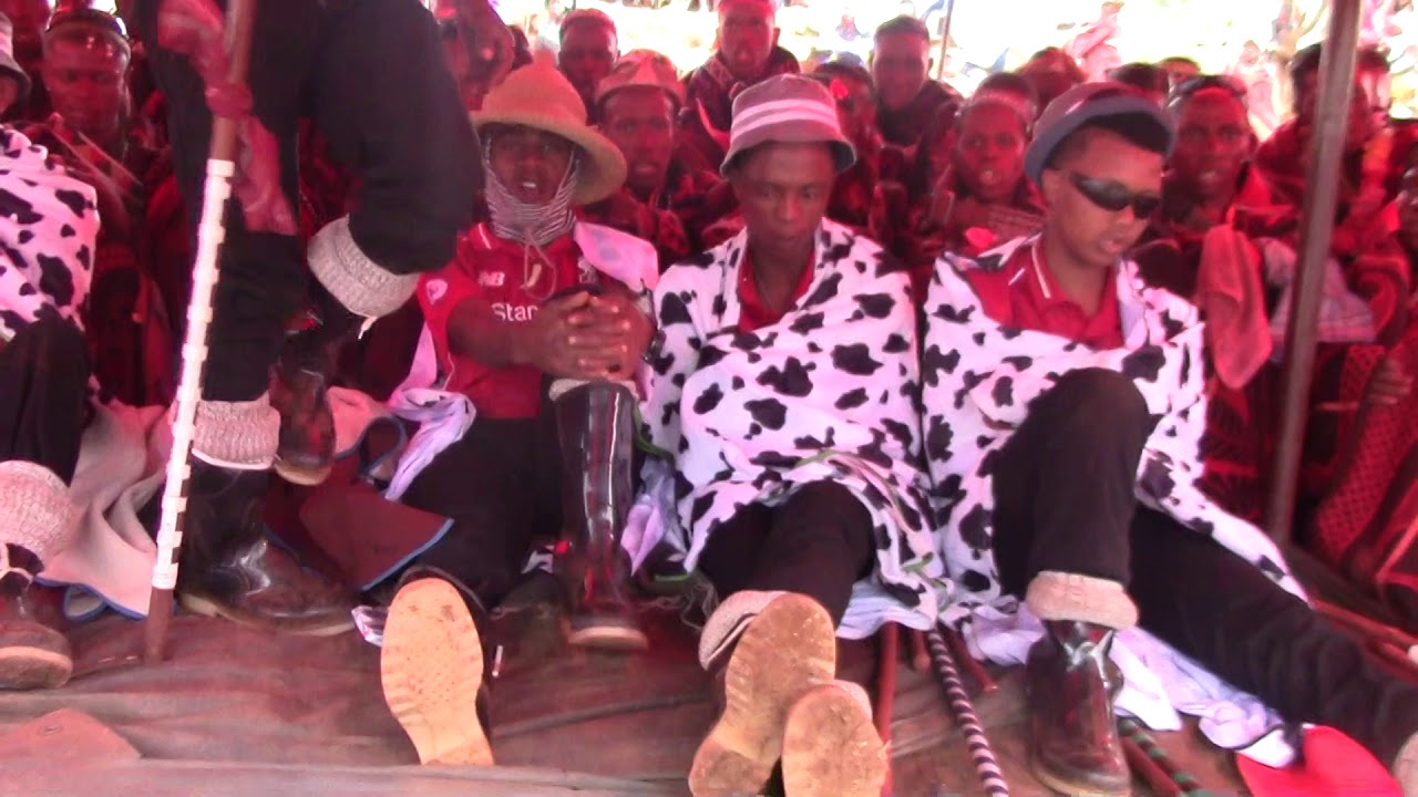 Makoloane a Macolo Secoama