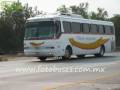 Autobuses en la autopista méxico Queretaro tramo San juan del Rio