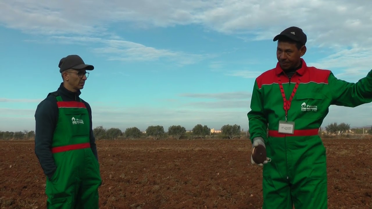 فلاحة الزيتون بمنطقة العروي الريف المغربي تعلم طريقة تسطير حفر الغرس