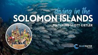 🇸🇧 Solomon Islands Diving Guide | Best Dive Sites, Marine Life & Liveaboards