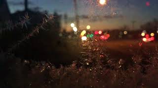 Morning BusStop Ice Bokeh