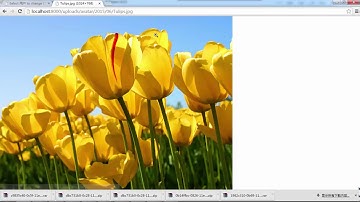麦子学院-项目实战-Django个人博客系统-第10章 如何上传文件