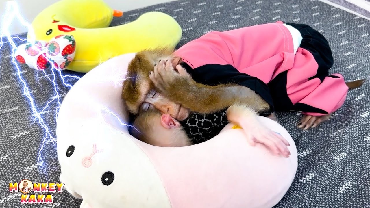 Обезьянка Кака защищает обезьянью лапку, потому что боится грома и молнии.