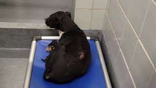 acs A672144