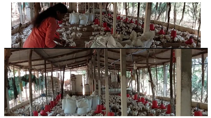 farm madhla kam