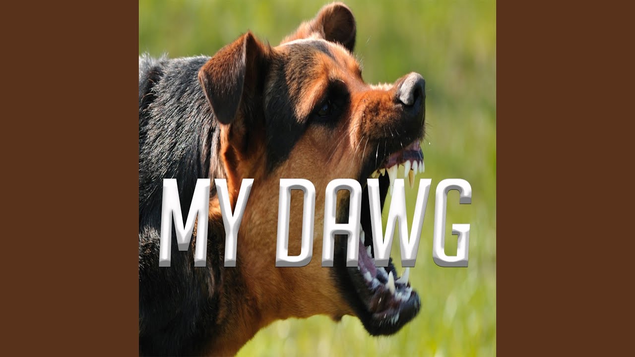 My Dawg YouTube