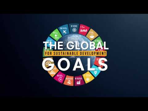 Business and Sustainable Development - Impact Film