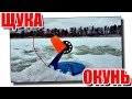 Ловим щуку на жерлицы, а окуня на мотыля зимой! #щуканажерлицы