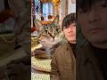【祝】紅白出場☆愛猫ココちゃまに報告する山口一郎 #サカナクション #山口一郎 #おめでとう
