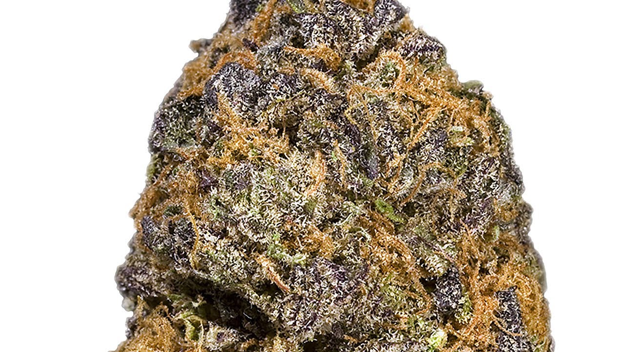 Purple Diesel Strain Review