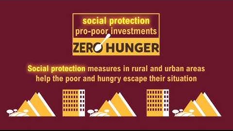 Achieving Zero Hunger: Combining social protection with pro-poor investments