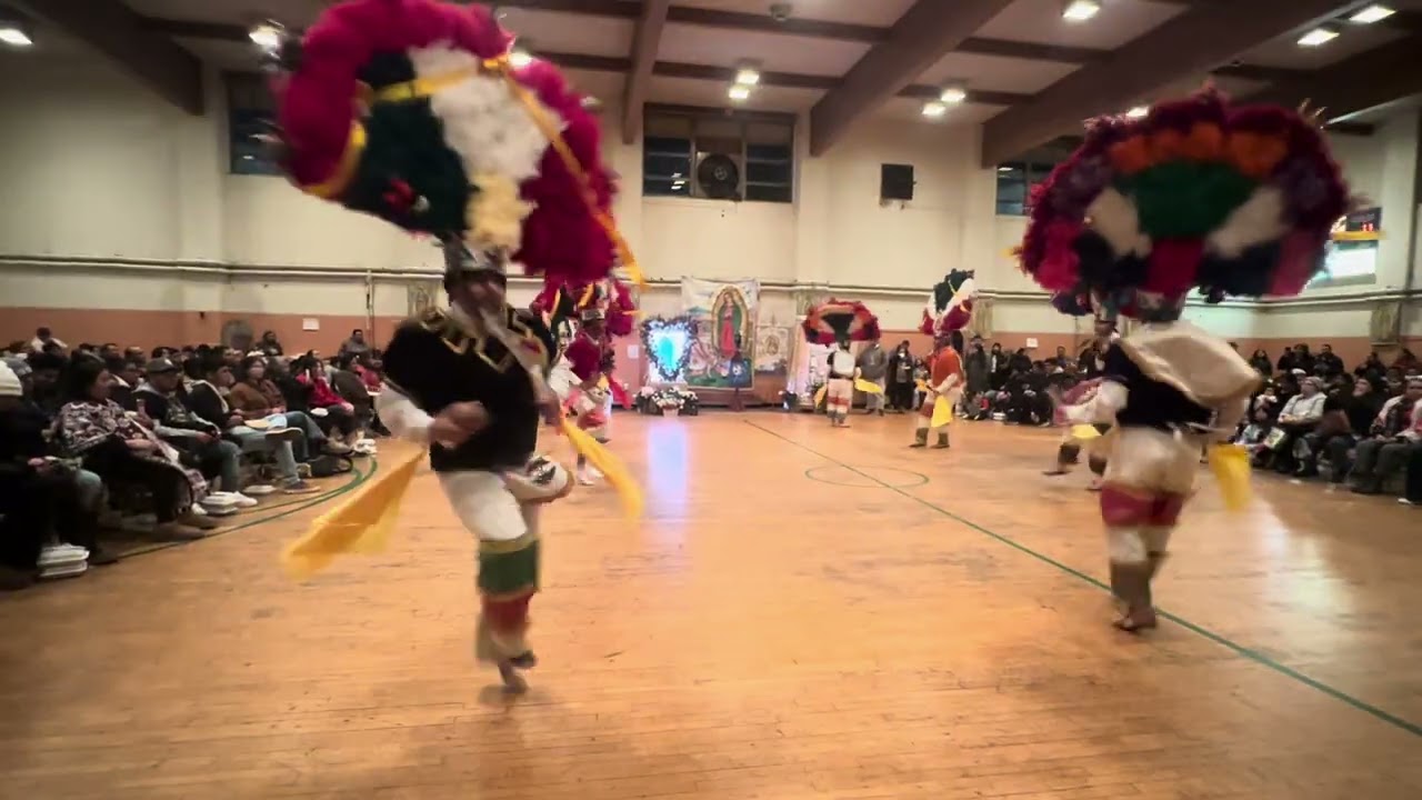 Danza de la pluma Zaachila desde Bridgeport CT
