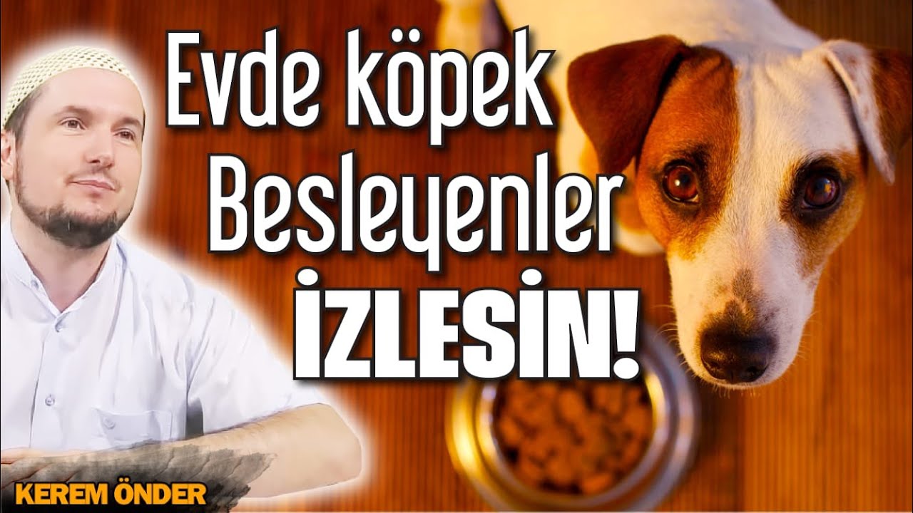 Evde Kopek Besleyenler Izlesin Efektli Video Kerem Onder Youtube