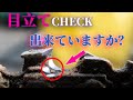 チェーンの目立ての仕方　３つの内どれが×？