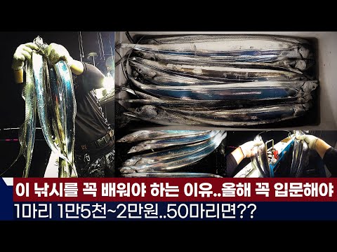 풍낚TV한번 낚시에 100만원/꼭 배워야하는 이유/올해 꼭 입문하셔야/여수왕갈치 여명호/Hairtail fishing