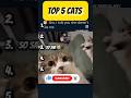 TOP 5 CATS #ranked #cat #ranking #cute #subscribe #pets #funny #cats #rankpush #like #kitten #kitty