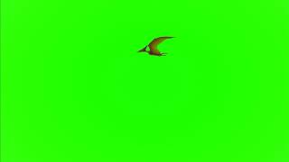 Flying Pterodactyl Green Screen