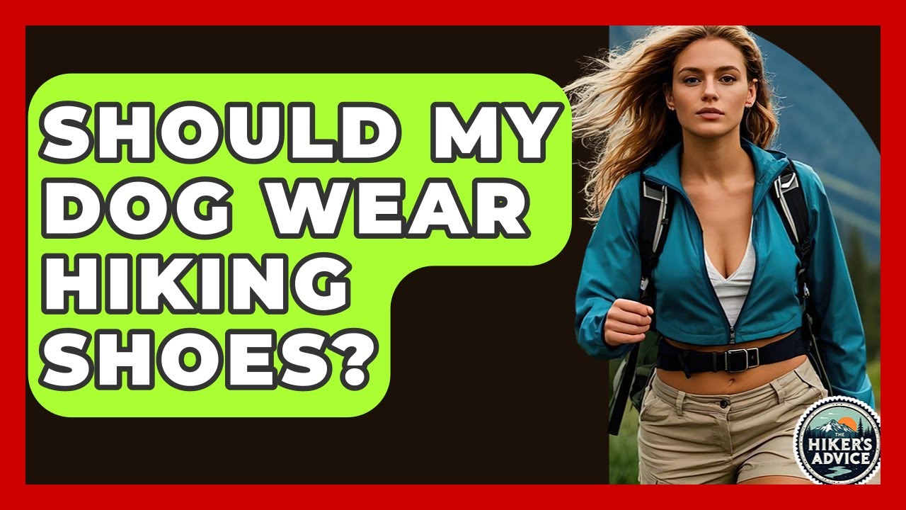 Should My Dog Wear Hiking Shoes? - The Hiker's Advice