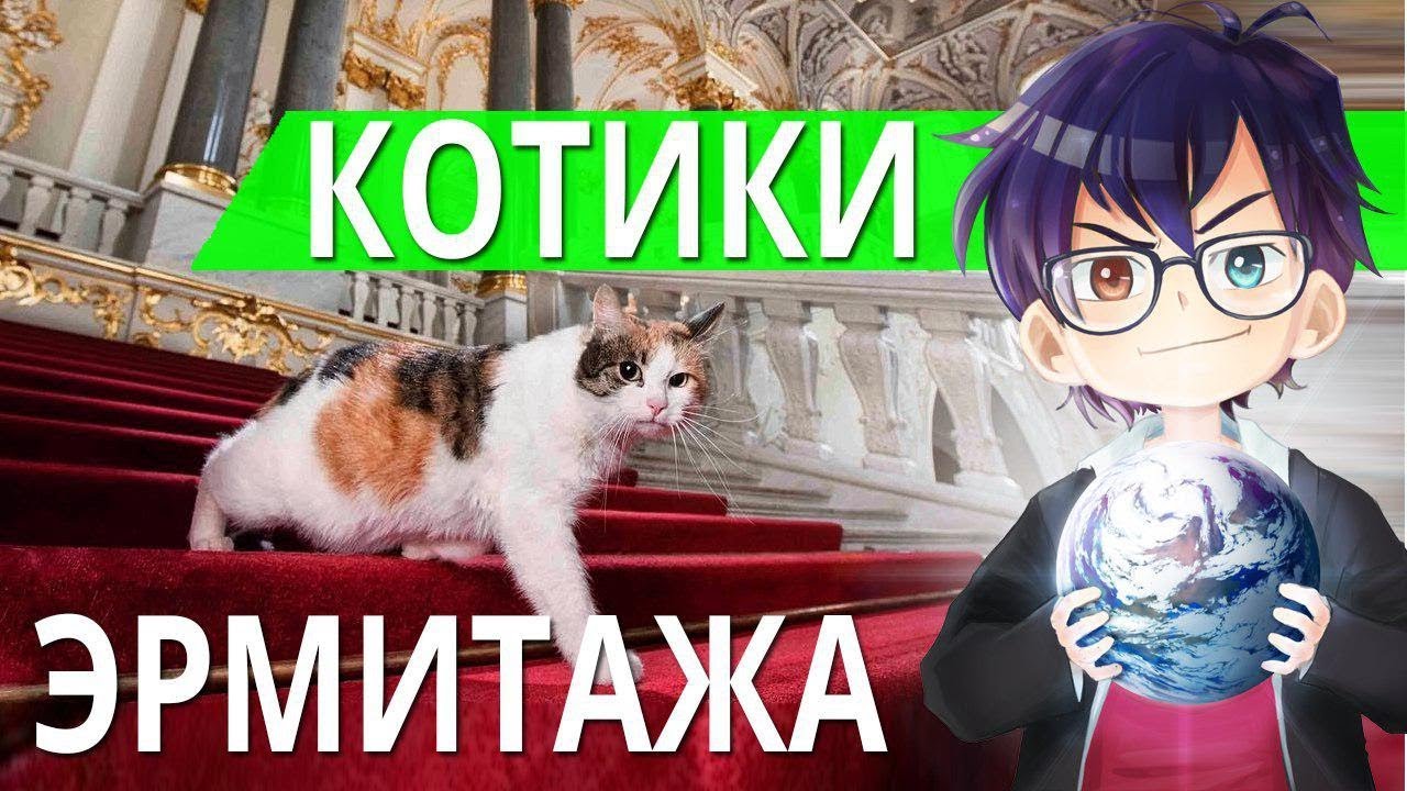 КОТЫ И КОШКИ ЭРМИТАЖА В САНКТ-ПЕТЕРБУРГЕ // Я Короче Узнал