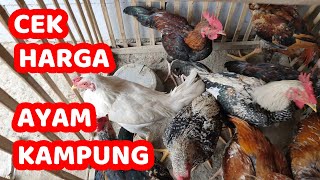 Harga Ayam Broiler Hari Ini Jum'at 29 Juli 2022. 