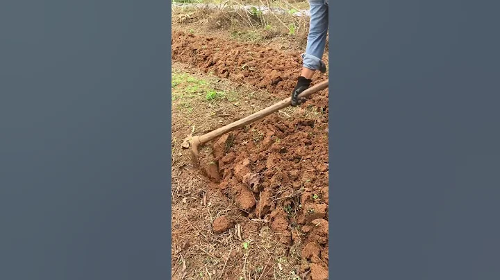 Farm Life | Land Preparation | Plowing of Soil